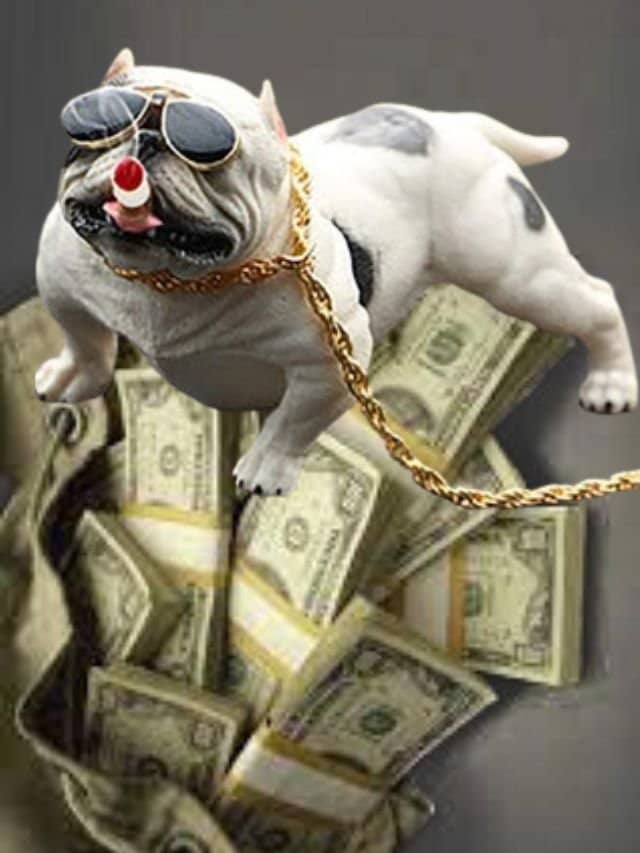 WORLD’S  most top 10 expensive PET DOGS /  you can buy it free now